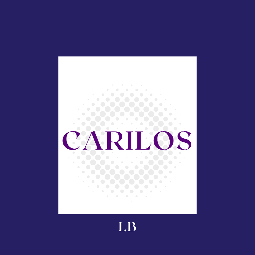 CARILOS LB | LEGAL & BUSINESS SERVICES